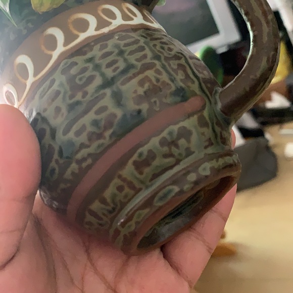 Hearleaf Philodendron - Picture 4 of 4